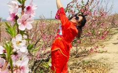 伊人成人生综合网图片